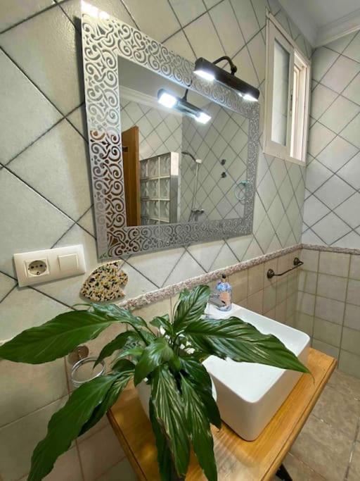 Holiday home La Casa Del San Anton Nijar