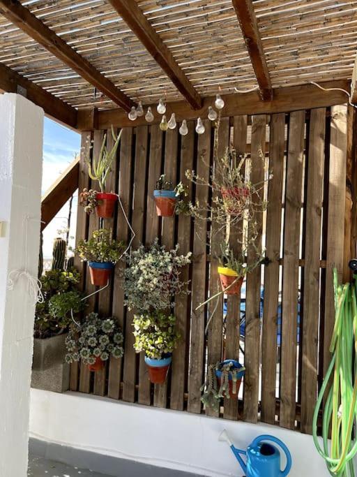 La Casa Del San Anton Nijar